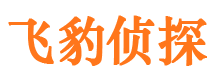 平果出轨调查